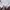 Ben Sherman Men's Retro Geo Polo White Blue Red Punk Origina