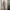 One Set Cotton Nude photo 2