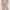 One Set Cotton Nude photo 3