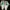 NIKE CORTEZ - WHITE/DUSTY CACTUS-COSMIC CLAY BLANC/CACTUS FN photo 10