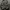 ASNOFIT LINER COLLAR JACKET | OUTERWEAR | CLWM photo 3