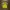Umbro Sportswear Jersey Pria yellow photo 3