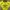 Umbro Sportswear Jersey Pria yellow photo 2