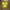 Umbro Sportswear Jersey Pria yellow photo 1