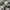 Vintage Casual Casual shirt Pria white black photo 4