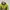 E!der running jaket  photo 2