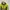 E!der Running Jaket 