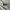 Hoodie Carhat Grey photo 3
