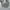 Hoodie Carhat Grey photo 4