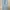 Dunst Blue Wash Denim photo 6