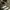 Adidas Indie Casual Sneakers Pria white brown photo 2