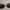 Frame Dan Sunglass Lensa The Saturdays Chipper