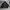 Adidas Gorpcore Fleece Pria black photo 6