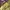 longchamp le pliage pistachio large photo 2