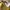 longchamp le pliage pistachio large photo 3