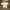 Umbro Vintage Sportswear Jersey Pria white photo 2