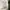 Visvim Streetwear Casual Short Pria green photo 4