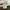 Visvim Streetwear Casual Short Pria green photo 5