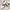 Bally Leather Sneakers Made In Italy Original | Fit 41