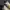Nike Sportswear Indie Sneakers Pria white yellow photo 4