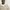 Corduroy sherpa jacket Lee tall photo 7