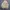 Corduroy sherpa jacket Lee tall photo 2