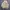 Corduroy Sherpa Jacket Lee Tall