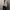 Corduroy sherpa jacket Lee tall photo 5