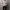 Corduroy sherpa jacket Lee tall photo 4