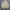 Corduroy sherpa jacket Lee tall photo 1