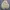 Corduroy Sherpa Jacket Lee Tall