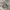 Corduroy sherpa jacket Lee tall photo 9