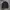Vintage Harrington jacket Pria brown photo 1