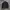 Vintage Harrington Jacket Pria Brown