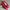 (New) Balerina Flat Shoes  photo 2