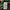 Carhartt Casual T-shirt Pria green photo 3