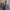 Cybeat JDM Fullblack unik jadul retro vintage 90s not seiko photo 5