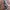 Cybeat JDM Fullblack unik jadul retro vintage 90s not seiko photo 8