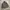 Quatoro Leoni 4 Pocket Jacket photo 3