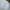 BEN SHERMAN CASUAL BASIC WHITE TEXTURED SLIM FIT LONG SLEEVE photo 3