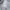 BEN SHERMAN CASUAL BASIC WHITE TEXTURED SLIM FIT LONG SLEEVE photo 4