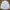 BEN SHERMAN CASUAL BASIC WHITE TEXTURED SLIM FIT LONG SLEEVE photo 6
