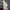 Nike Streetwear Sneakers Pria multicolor white photo 2