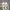Nike Streetwear Sneakers Pria Multicolor White