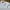 BEN SHERMAN CASUAL BASIC WHITE LINE SELVEDGE LONG SLEEVE SHI photo 3