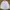 BEN SHERMAN CASUAL BASIC WHITE LINE SELVEDGE LONG SLEEVE SHI