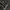 Converse Emo Indie Sneakers Pria white tan photo 4