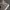 Converse Emo Indie Sneakers Pria white tan photo 3