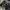 Converse Emo Indie Sneakers Pria white tan photo 6