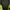 Stranger Things Kaos Film Official Tag Original 100% photo 2